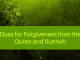Quranic Dua For Forgiveness